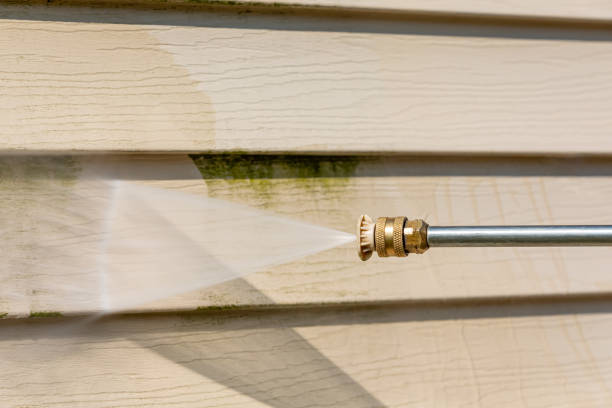 Best Pressure Washing Company Near Me  in Mohave Valley, AZ